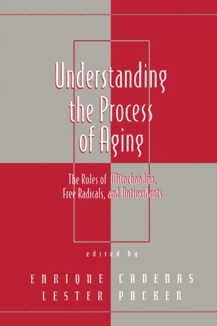 Lester Packer - Understanding the Process of Aging, E-bok