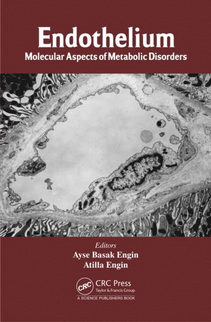 Atilla Engin, Ayse Basak Engin - Endothelium, E-bok