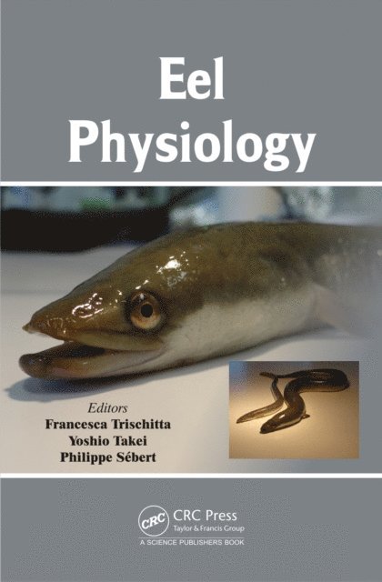 Philippe Sebert, Yoshio Takei, Francesca Trischitta - Eel Physiology, E-bok