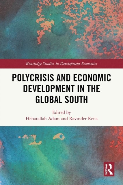 Ravinder Rena, Hebatallah Adam - Polycrisis and Economic Development in the Global South, E-bok