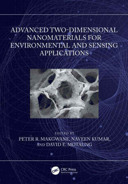 David E. Motaung, Naveen Kumar, Peter R. Makgwane - Advanced Two-Dimensional Nanomaterials for Environmental and Sensing Applications, E-bok