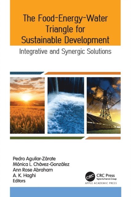 A. K. Haghi, Ann Rose Abraham, Monica L. Chavez-Gonzalez, Pedro Aguilar-Zarate - Food-Energy-Water Triangle for Sustainable Development, E-bok
