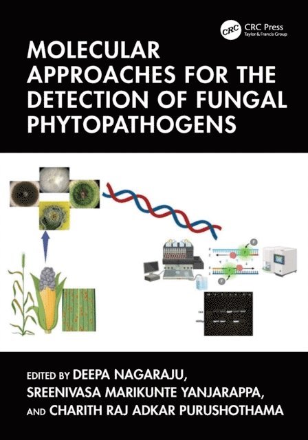 Charith Raj Adkar Purushothama, Sreenivasa Marikunte Yanjarappa, Deepa Nagaraju - Molecular Approaches for the Detection of Fungal Phytopathogens, E-bok