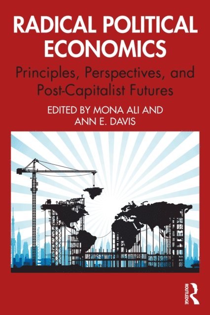 Ann E. Davis, Mona Ali - Radical Political Economics, E-bok