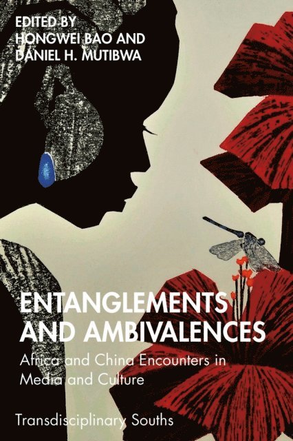 Daniel H. Mutibwa, Hongwei Bao - Entanglements and Ambivalences, E-bok