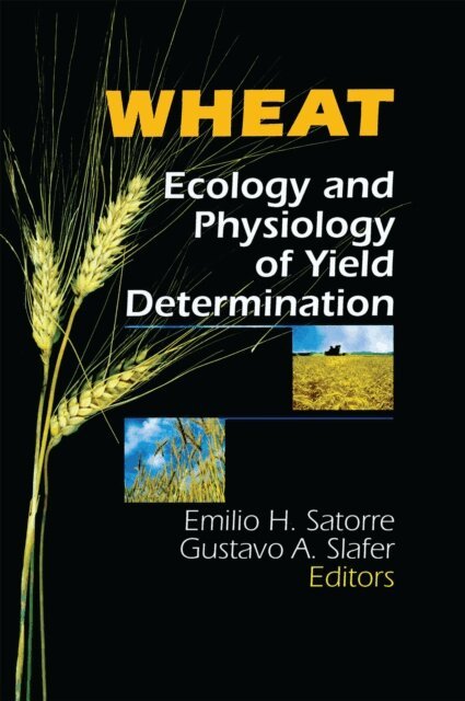 Gustavo A Slafer, E H Satorre - Wheat, E-bok
