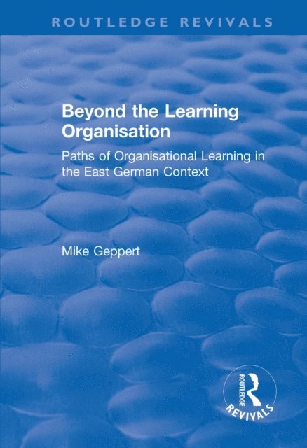 Mike Geppert - Beyond the Learning Organisation, E-bok