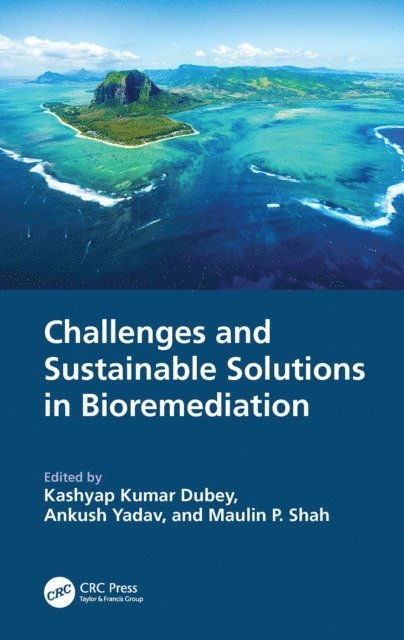 Ankush Yadav, Maulin P. Shah, Kashyap Kumar Dubey - Challenges and Sustainable Solutions in Bioremediation, E-bok