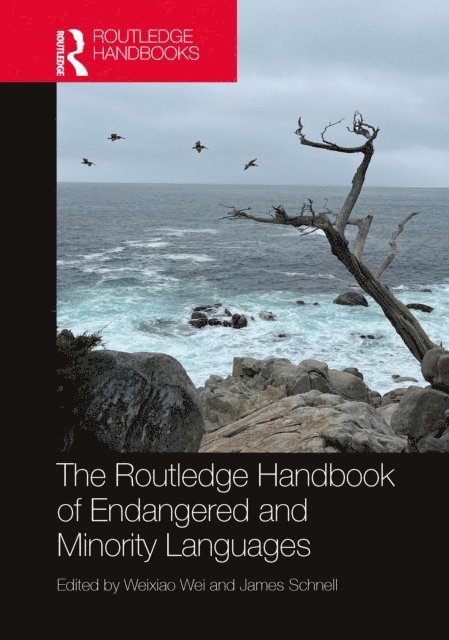 James Schnell, Weixiao Wei - Routledge Handbook of Endangered and Minority Languages, E-bok