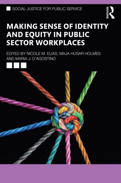 Maria J. D'Agostino, Maja Husar Holmes, Nicole M. Elias - Making Sense of Identity and Equity in Public Sector Workplaces, E-bok