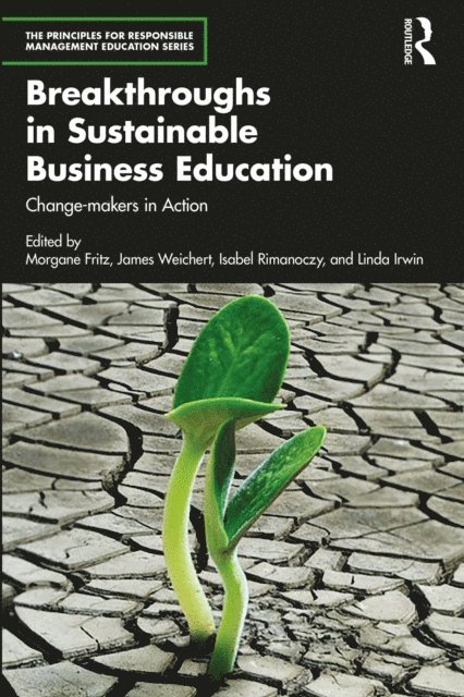 Linda Irwin, Isabel Rimanoczy, James Weichert, Morgane Fritz - Breakthroughs in Sustainable Business Education, E-bok