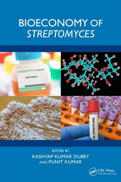 Punit Kumar, Kashyap Kumar Dubey - Bioeconomy of Streptomyces, E-bok