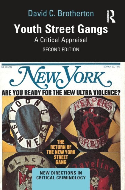 David C. Brotherton - Youth Street Gangs, E-bok