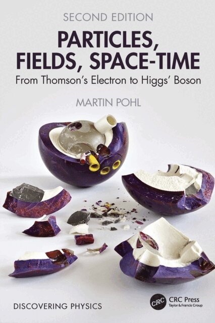 Martin Pohl - Particles, Fields, Space-Time, E-bok