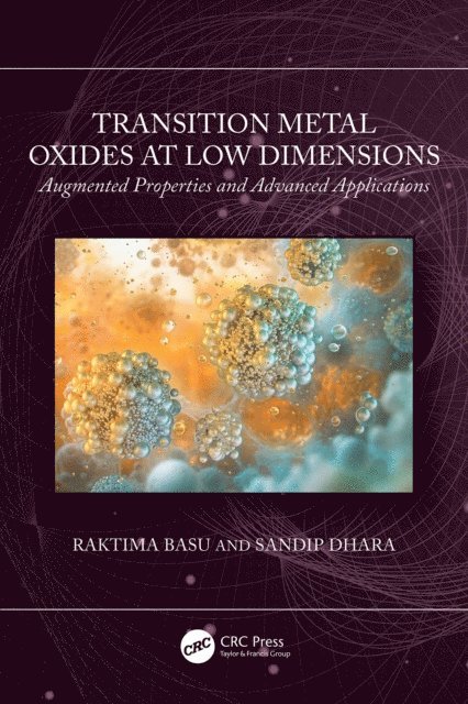 Sandip Dhara, Raktima Basu - Transition Metal Oxides at Low Dimensions, E-bok