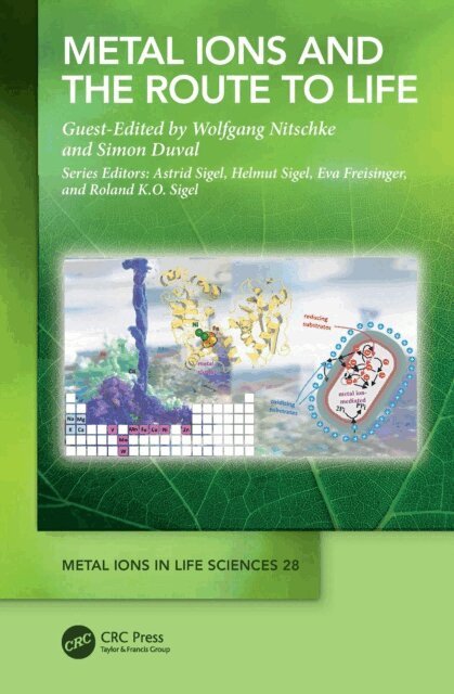 Simon Duval, Wolfgang Nitschke - Metal Ions and the Route to Life, E-bok