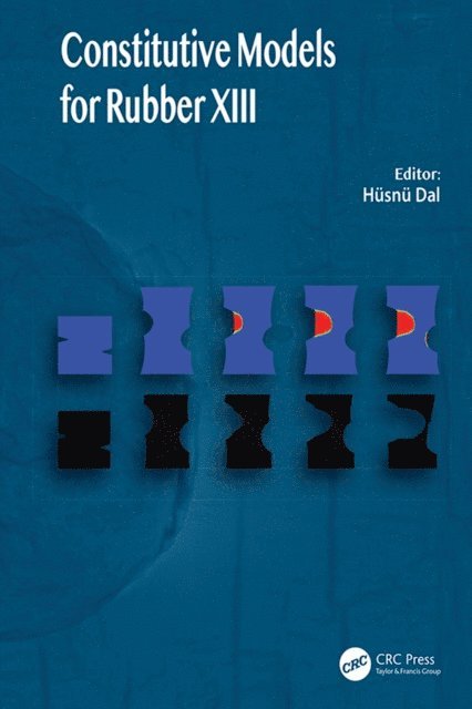 Husnu Dal - Constitutive Models for Rubbers XIII, E-bok