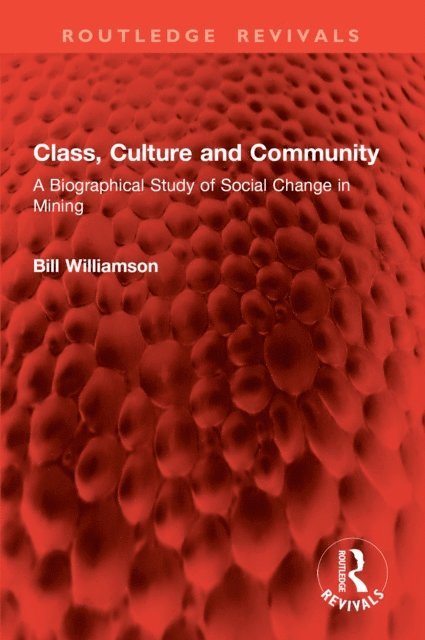 Bill Williamson - Class, Culture and Community, E-bok