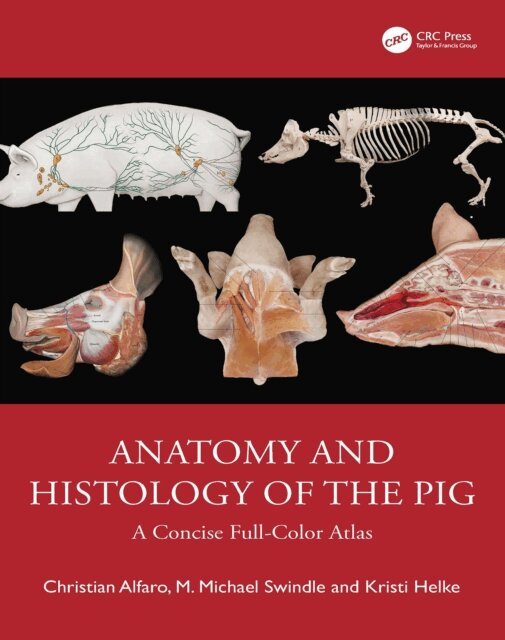 Kristi Helke, M Michael Swindle, Christian Alfaro - Anatomy and Histology of the Pig, E-bok