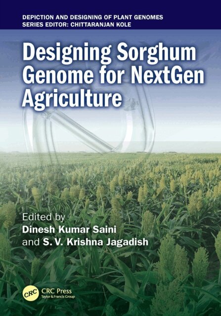 S.V. Krishna Jagadish, Dinesh Kumar Saini - Designing Sorghum Genome for NextGen Agriculture, E-bok