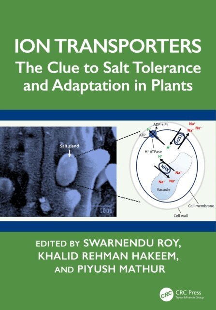 Piyush Mathur, Khalid Rehman Hakeem, Swarnendu Roy - Ion Transporters, E-bok