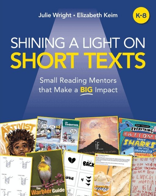 Elizabeth Keim, Julie Wright - Shining a Light on Short Texts, E-bok