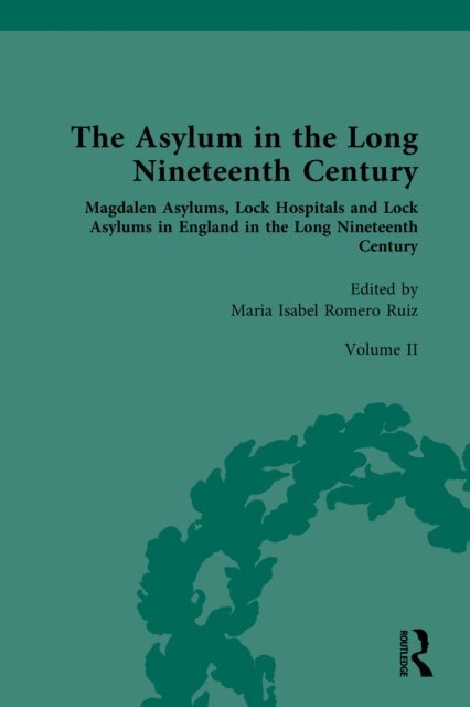 Maria Isabel Romero Ruiz - Asylum in the Long Nineteenth Century, E-bok