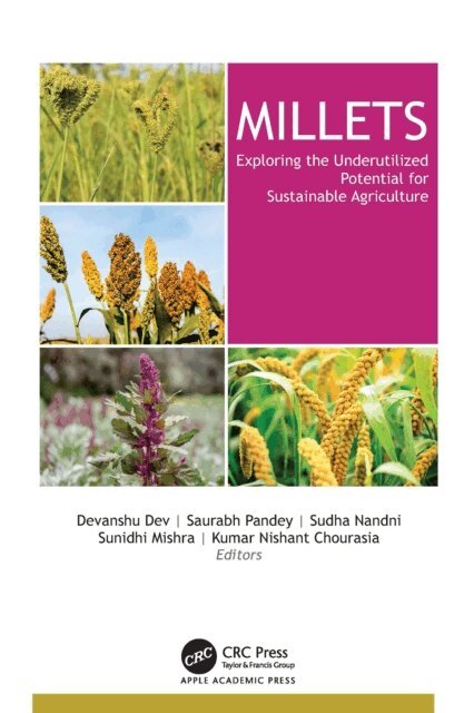 Kumar Nishant Chourasia, Sunidhi Mishra, Sudha Nandni, Saurabh Pandey, Devanshu Dev - Millets, E-bok