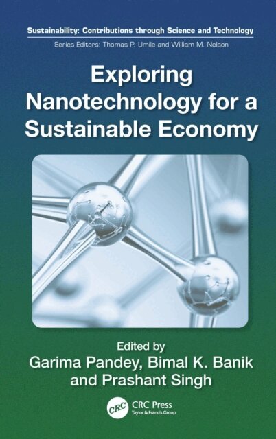 Garima Pandey, Prashant Singh, Bimal Krishna Banik - Exploring Nanotechnology for a Sustainable Economy, E-bok