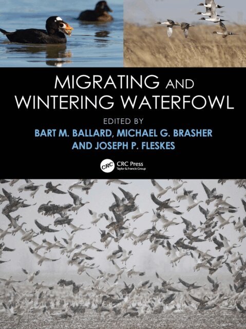 Joseph P. Fleskes, Michael G. Brasher, Bart M. Ballard - Migrating and Wintering Waterfowl, E-bok