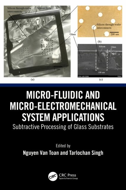 Tarlochan Singh, Nguyen Van Toan - Micro-Fluidic and Micro-electromechanical System Applications, E-bok