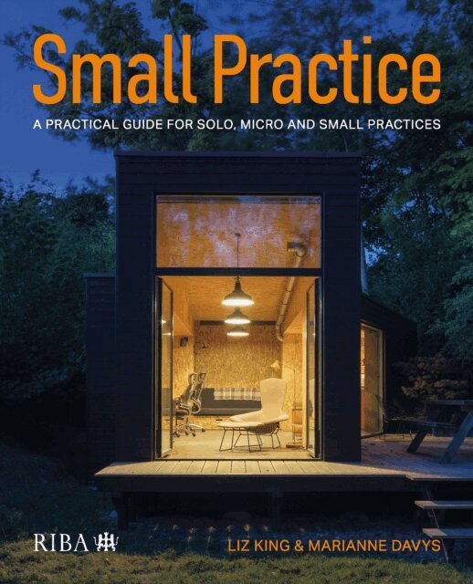 Marianne Davys, Liz King - Small Practice, E-bok