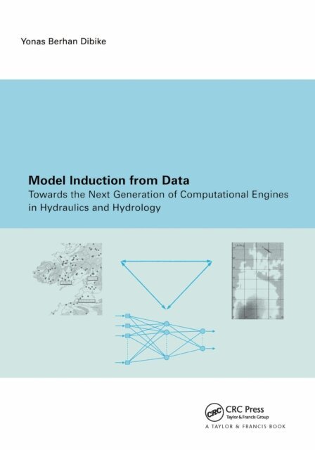 Y.B. Dibike - Model Induction from Data, E-bok