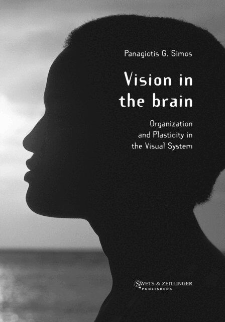 P.G. Simos - Vision in the Brain, E-bok