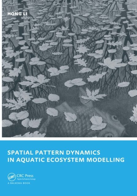 Hong Li - Spatial Pattern Dynamics in Aquatic Ecosystem Modelling, E-bok