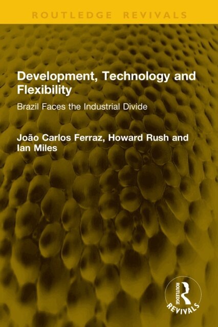 Ian Miles, Howard Rush, Joao Carlos Ferraz - Development, Technology and Flexibility, E-bok