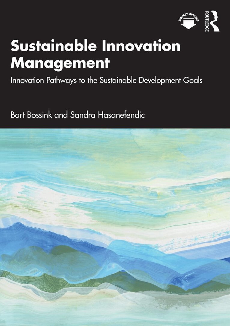 Bart Bossink, Sandra Hasanefendic - Sustainable Innovation Management, Häftad