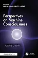 Perspectives on Machine Consciousness
