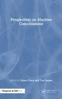 Perspectives on Machine Consciousness