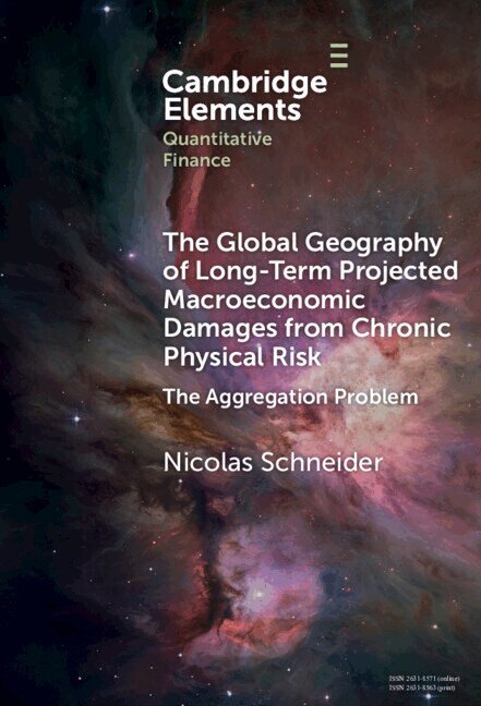 Nicolas Schneider - The Global Geography of Long-Term Projected Macroeconomic Damages from Chronic Physical Risk, Inbunden