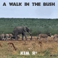 Kim R2 - Walk in the Bush, Häftad. Tillgänglighet: Lägg i varukorg