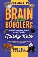 Brain Bogglers