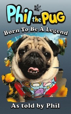 Kaz Rance - Phil the Pug, Inbunden