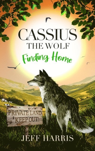 Jeff Harris - Cassius the Wolf: Finding Home, E-bok