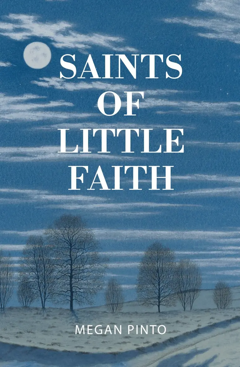 Megan Pinto - Saints of Little Faith, Häftad. Tillgänglighet: Lägg i varukorg