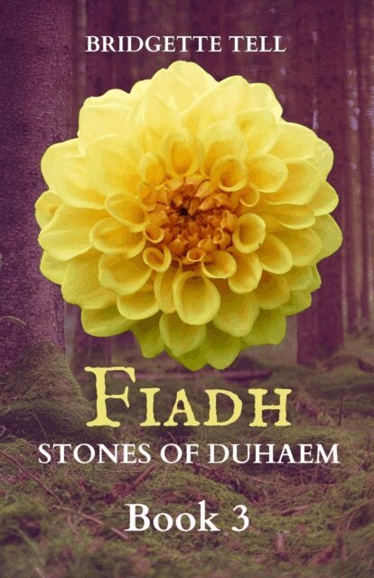 Bridgette Tell - Fiadh: Stones of Duhaem, E-bok