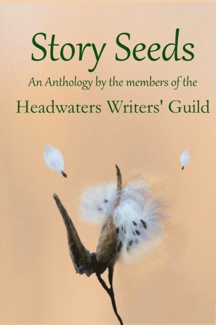 Judy Zarowny, Virginia L. Neely, Clare McCarthy, Marilyn Kleiber, Beverly Dawkins, Brian Burns, S. R. Briggs, Mary Patricia Bird, Diane Bator - Story Seeds, E-bok