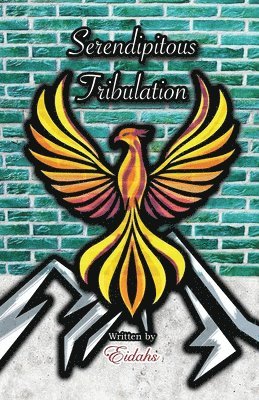 Eidahs - Serendipitous Tribulation (MM Romance), Häftad. Tillgänglighet: Lägg i varukorg