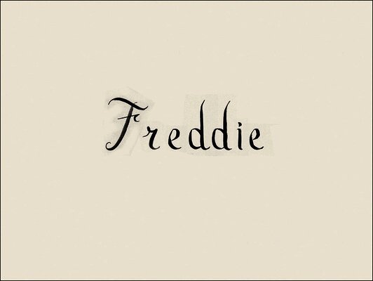 Matthew Leifeit - Rory Mulligan: Freddie, Inbunden