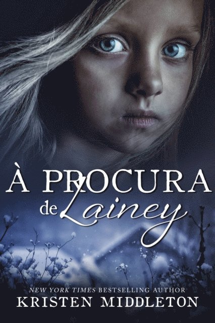 Kristen Middleton - À procura de Lainey, E-bok